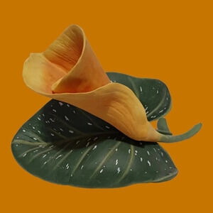 Franklin mint  rare golden calla  lily 1986 Ronald Van Ruyckevelt